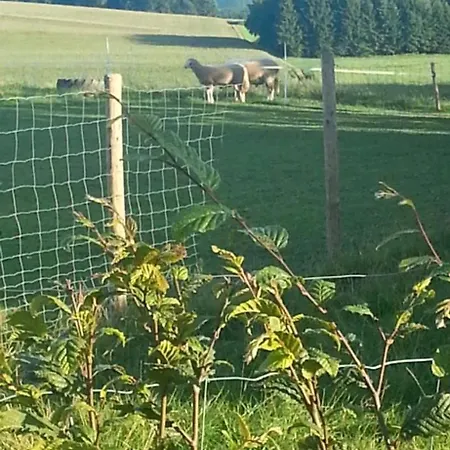 Apartment Eselhof Mobilheim