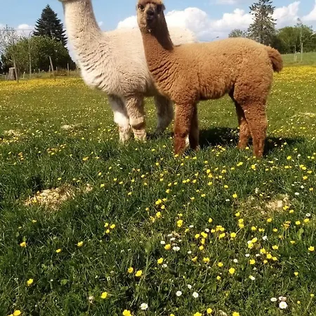 Eselhof Mobilheim Apartment *
