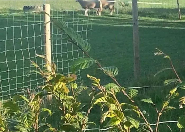 דירה Eselhof Mobilheim