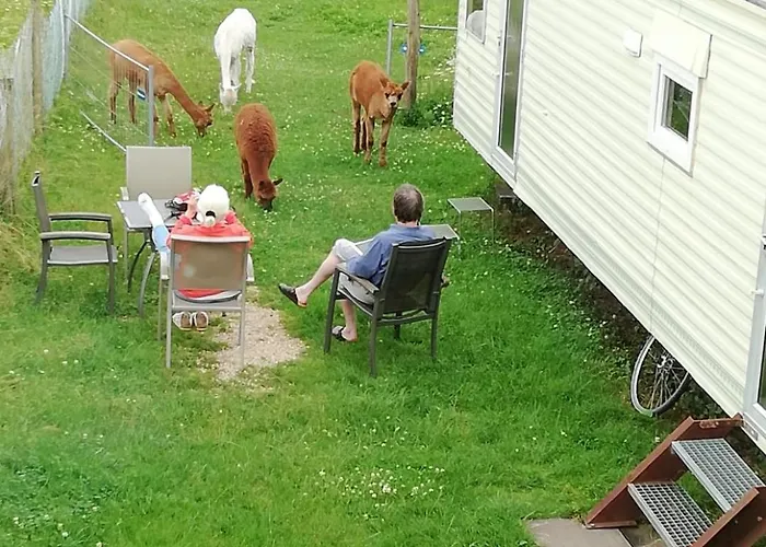 Eselhof Mobilheim דירה *