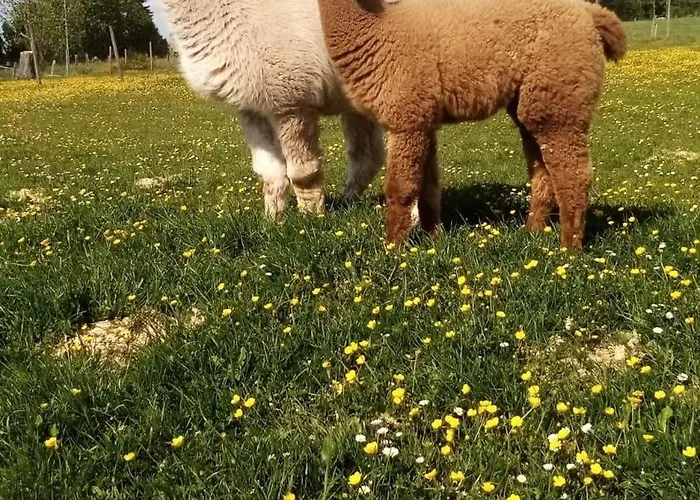Eselhof Mobilheim דירה *
